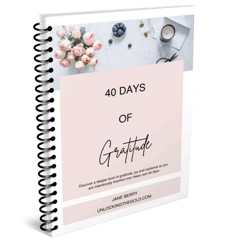 40 Days of Gratitude (rose)